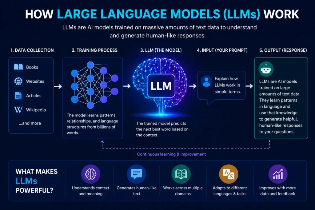 How Does a Large Language Model Work?